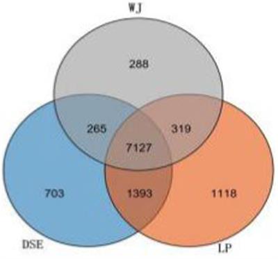 Comparison of differentially expressed genes in longissimus dorsi muscle of Diannan small ears, Wujin and landrace pigs using RNA-seq